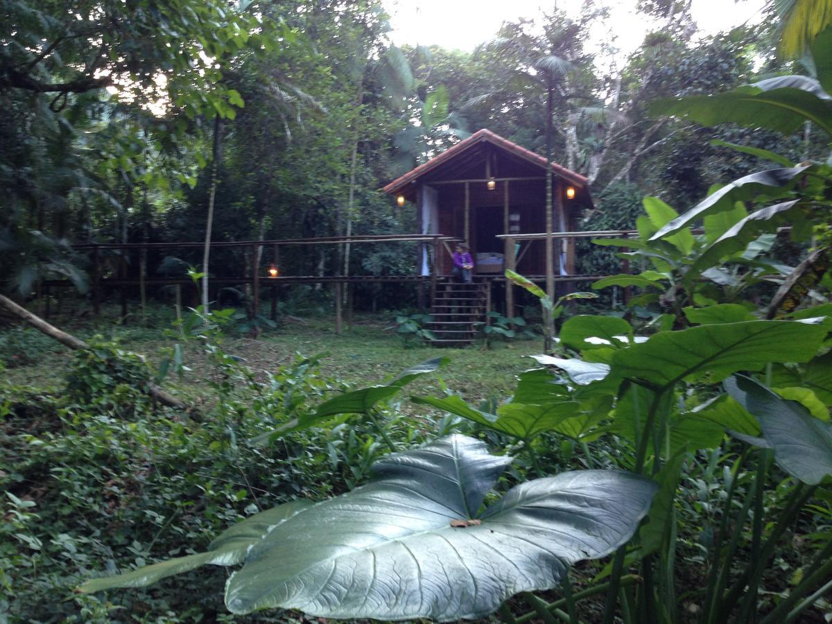 Hotel Glamping Mangarito à Iporanga Extérieur photo