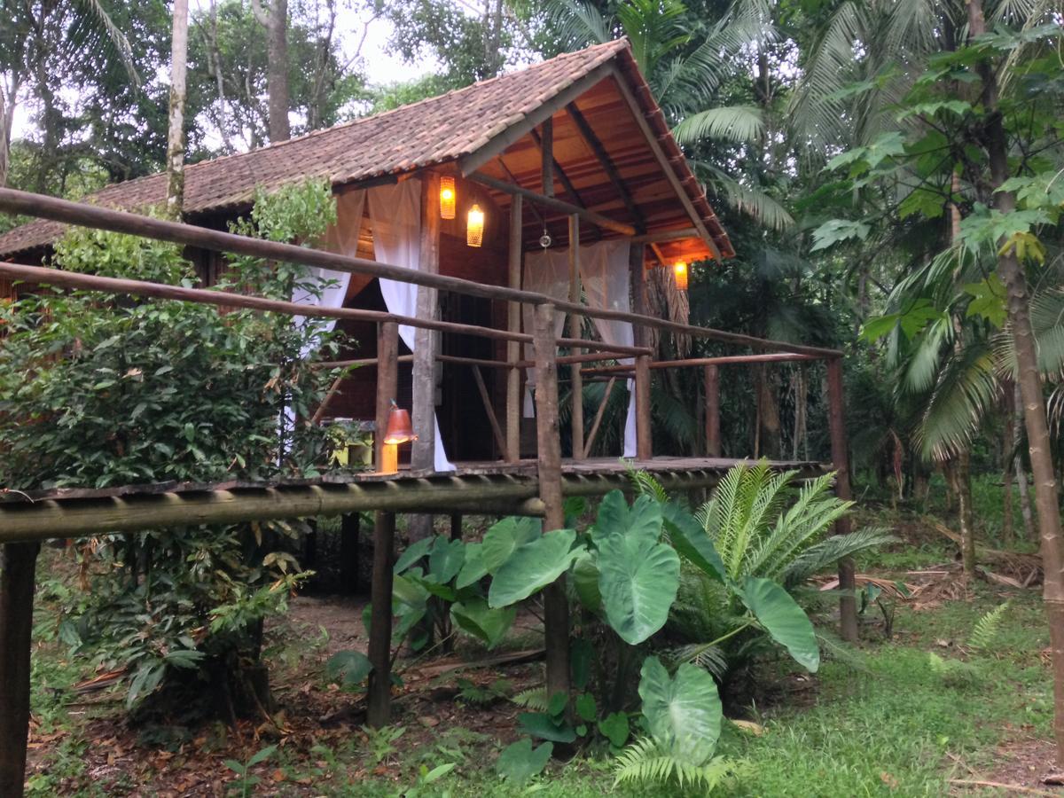 Hotel Glamping Mangarito à Iporanga Extérieur photo